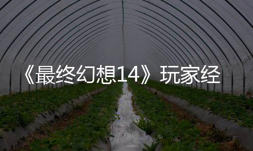想1獭獭先发 最终幻包因玩家g误大喜大悲经历即将官方生背收回